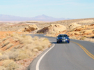  Shelby Bash Vegas Poker Run